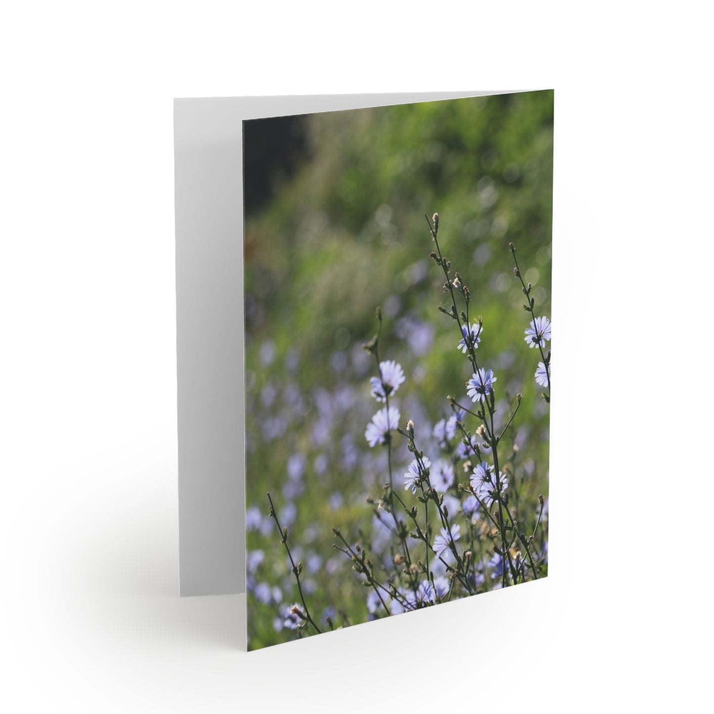 NN Greeting cards 8 pcs Little Purplish Flowers