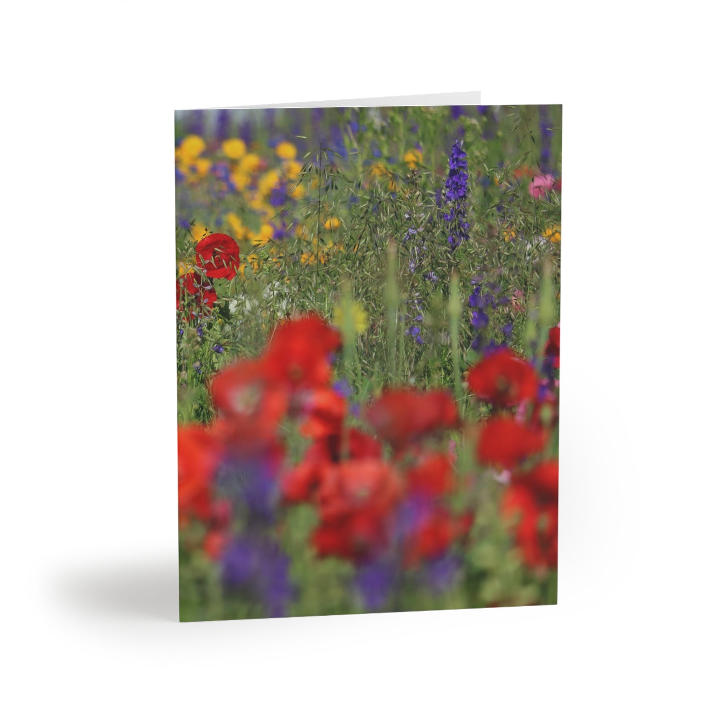 NN Greeting cards 8 pcs Wildflowers