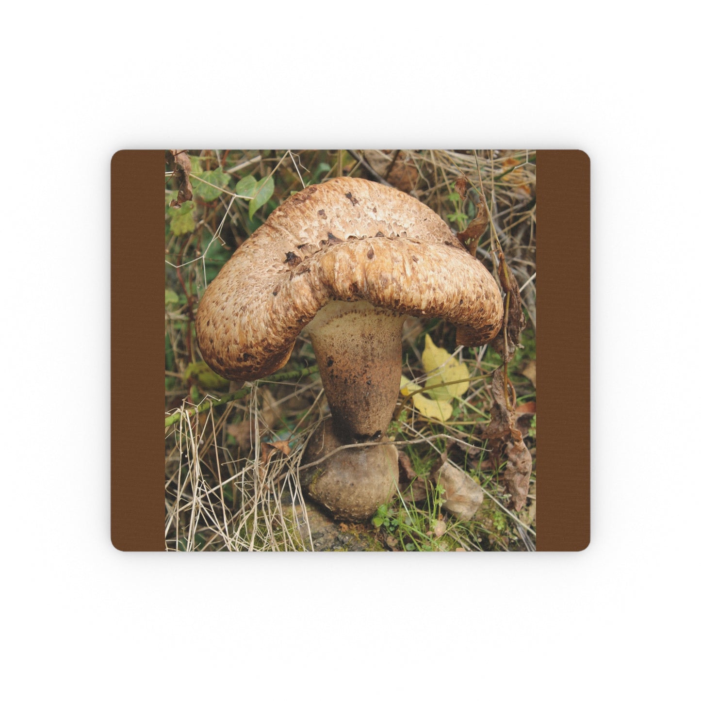 NN Rectangular Mouse Pad Mega Mushroom