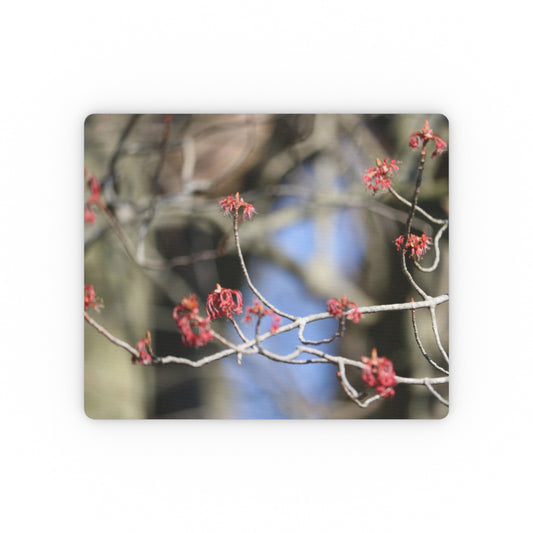 NN Rectangular Mouse Pad Red Buds Blue Sky