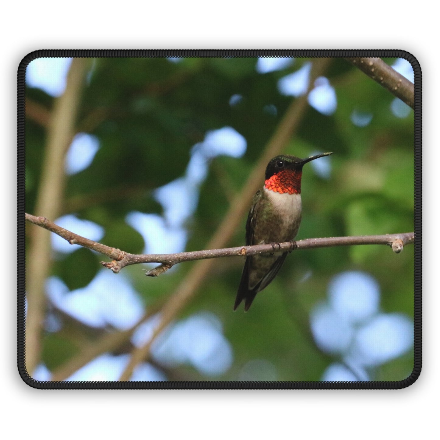 NN Gaming Mouse Pad MD Hummingbird Red