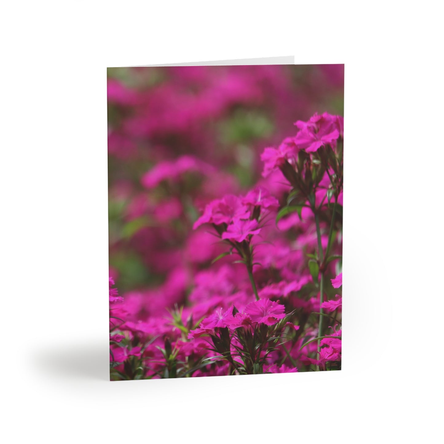 NN Greeting cards 8 pcs Purple Pinkish Flowers