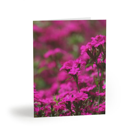 NN Greeting cards 8 pcs Purple Pinkish Flowers