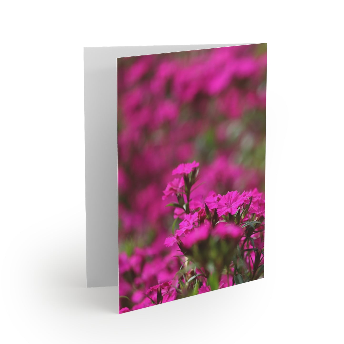 NN Greeting cards 8 pcs Purple Pinkish Flowers