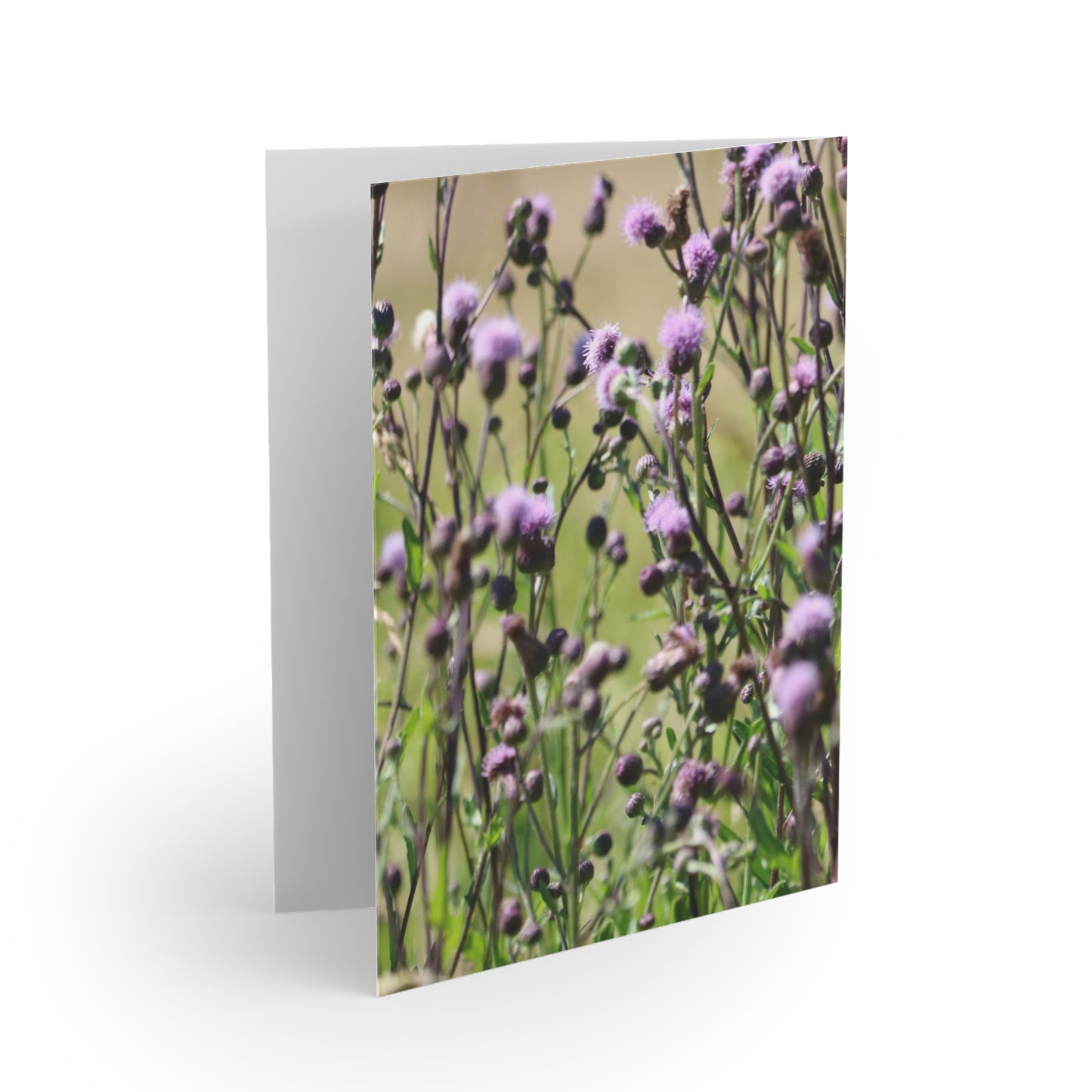 NN Greeting cards 8 pcs Purple Fluff Flowers