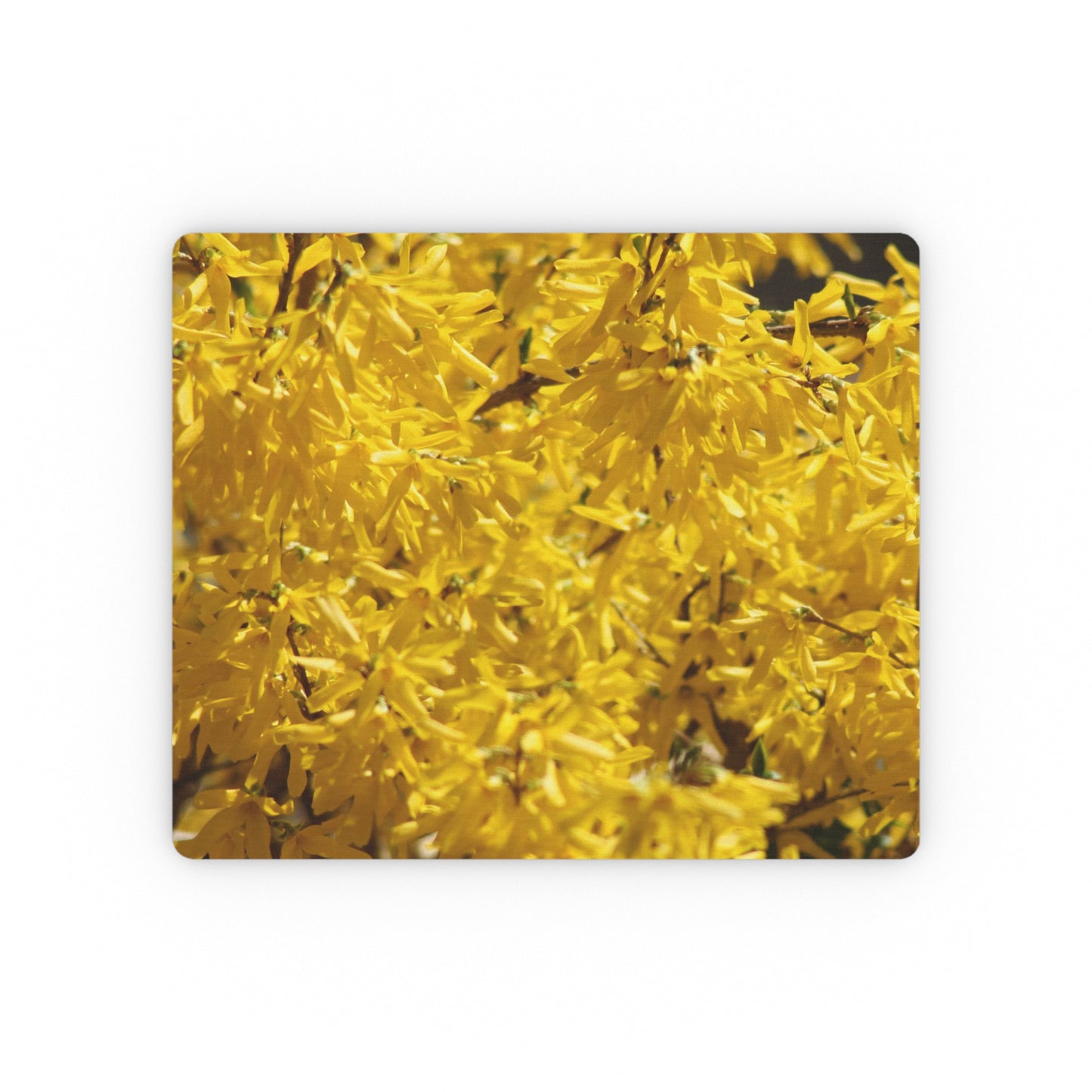 NN Rectangular Mouse Pad Forsythia