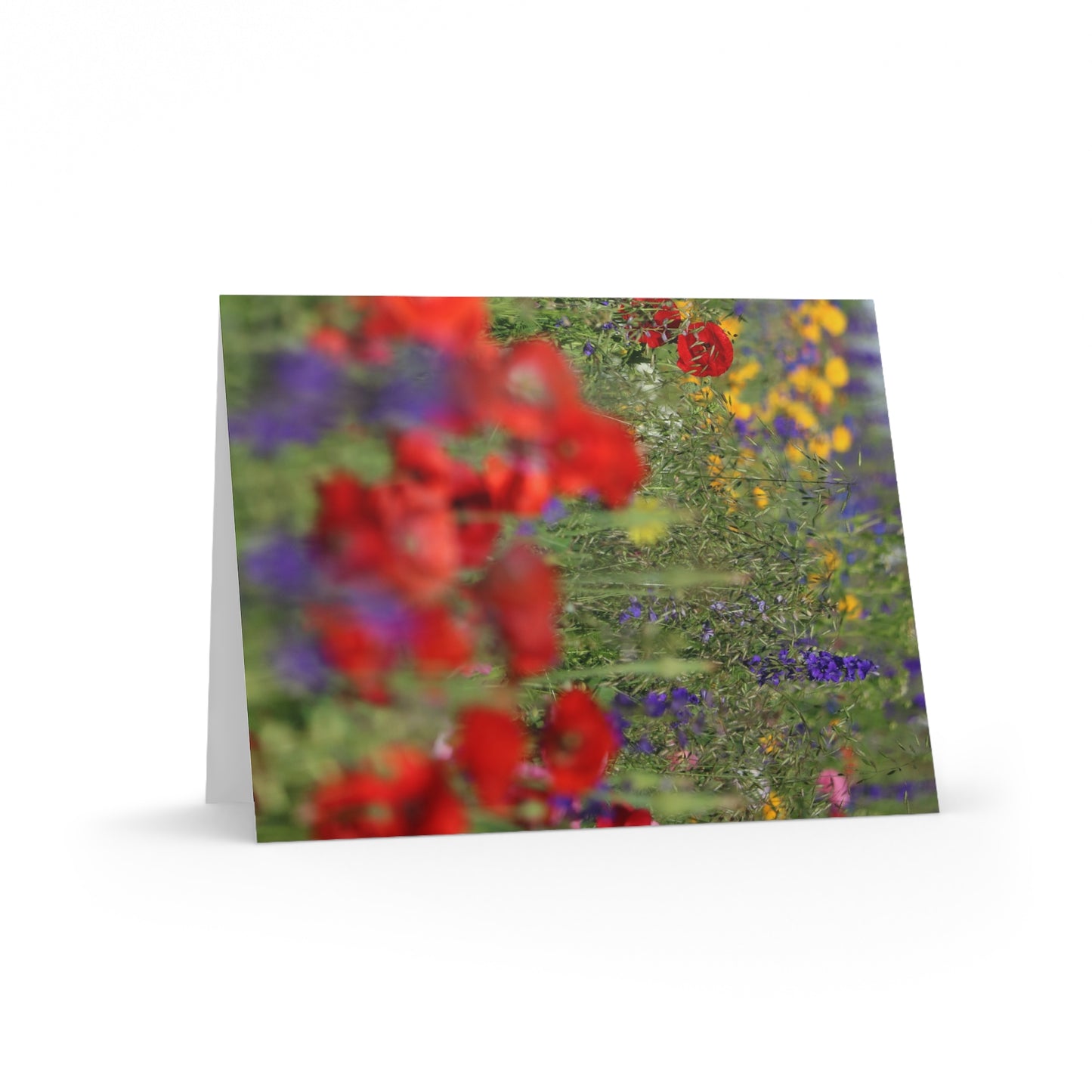 NN Greeting cards 8 pcs Wildflowers