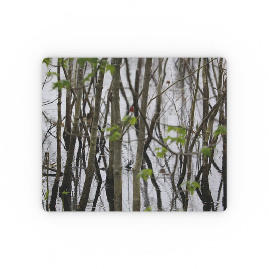 NN Rectangular Mouse Pad Little Trees In Water Reflections