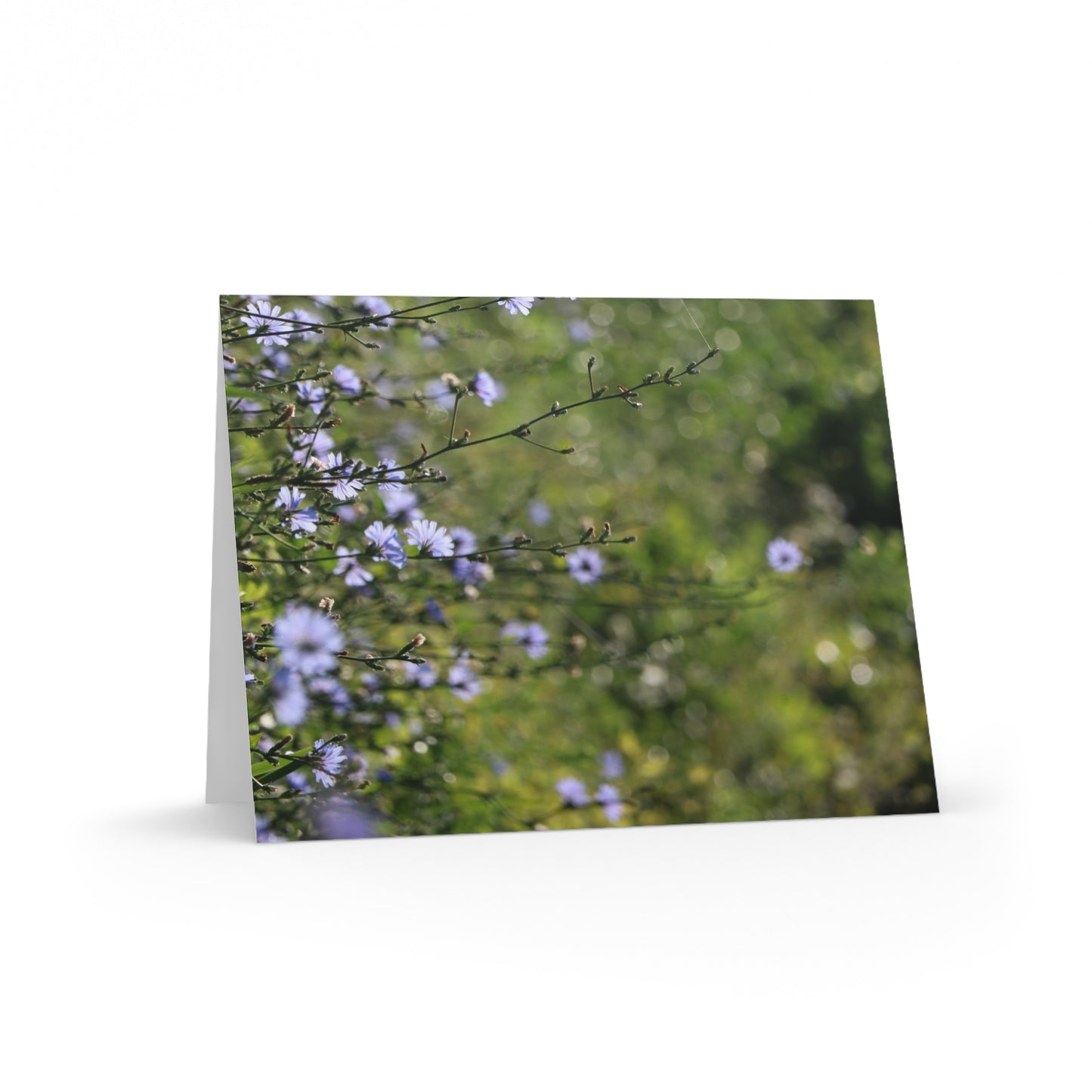 NN Greeting cards 8 pcs Little Purplish Flowers