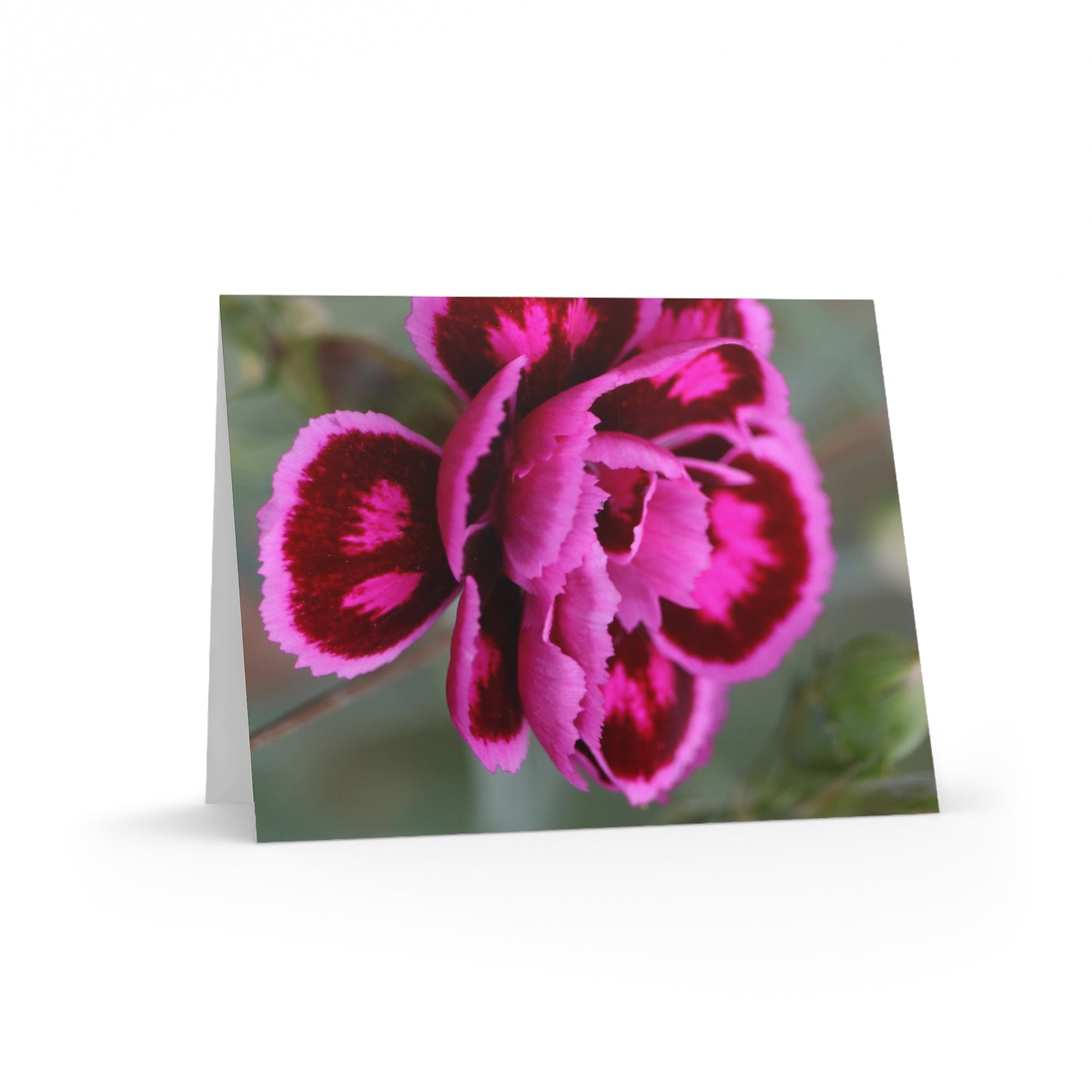 NN Greeting cards 8 pcs 2 Hot Pinks