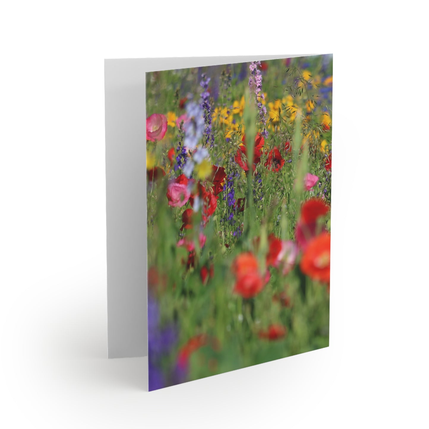 NN Greeting cards 8 pcs Wildflowers