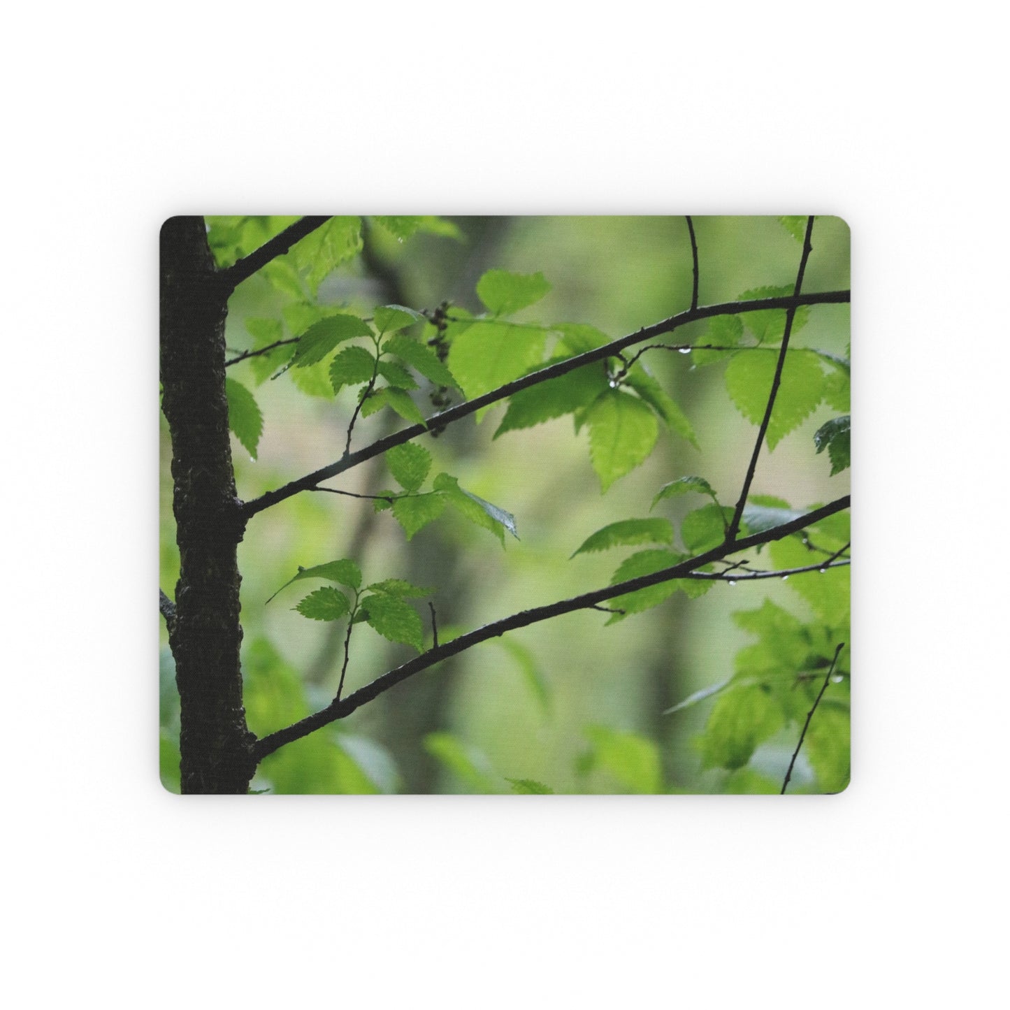 NN Rectangular Mouse Pad Wet Little Stick Branches