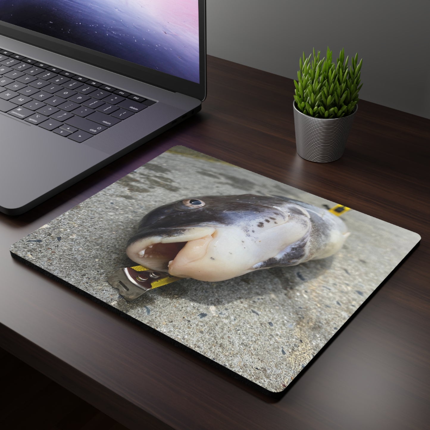 NN Rectangular Mouse Pad Teeth Of Tautog