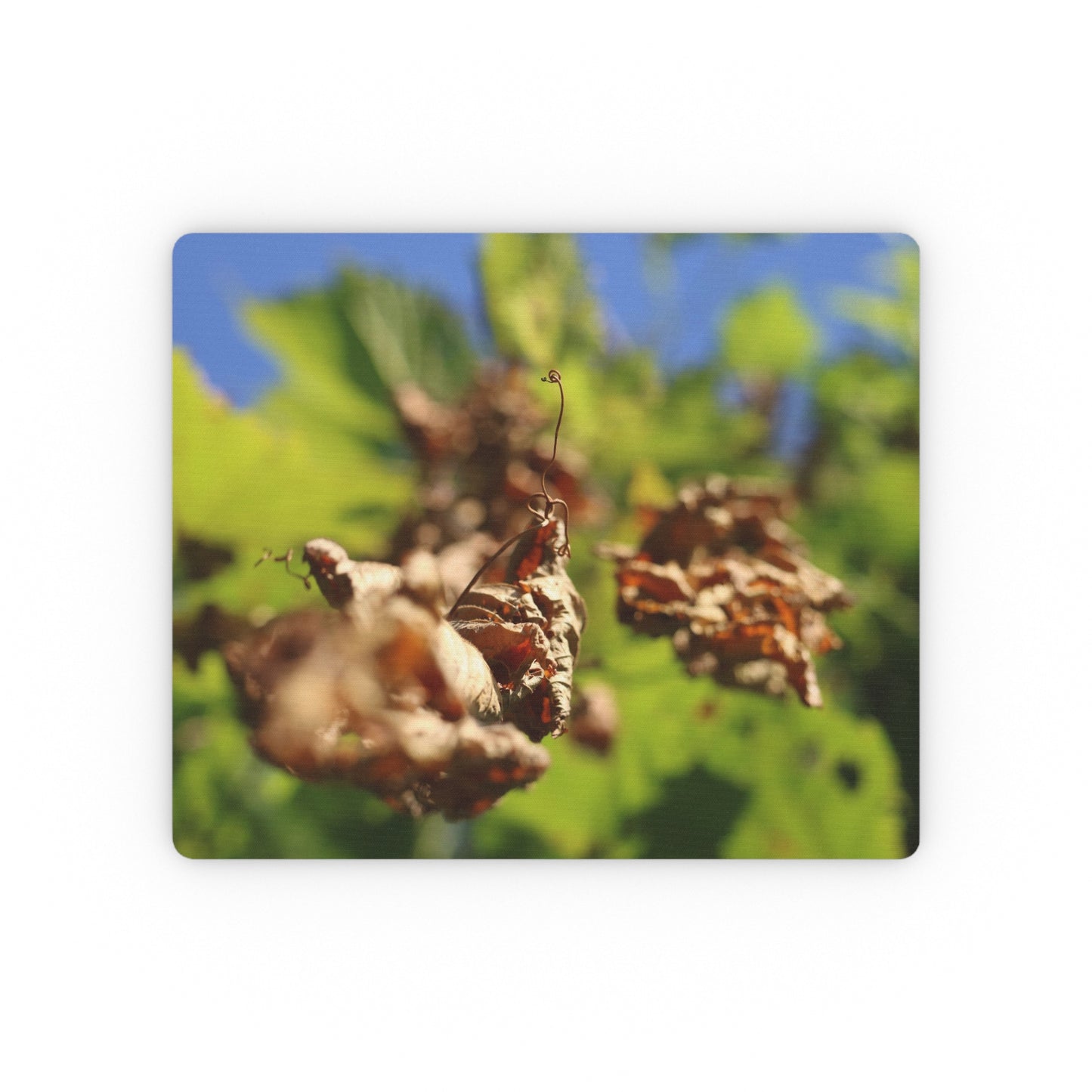 NN Rectangular Mouse Pad Falling Leaves