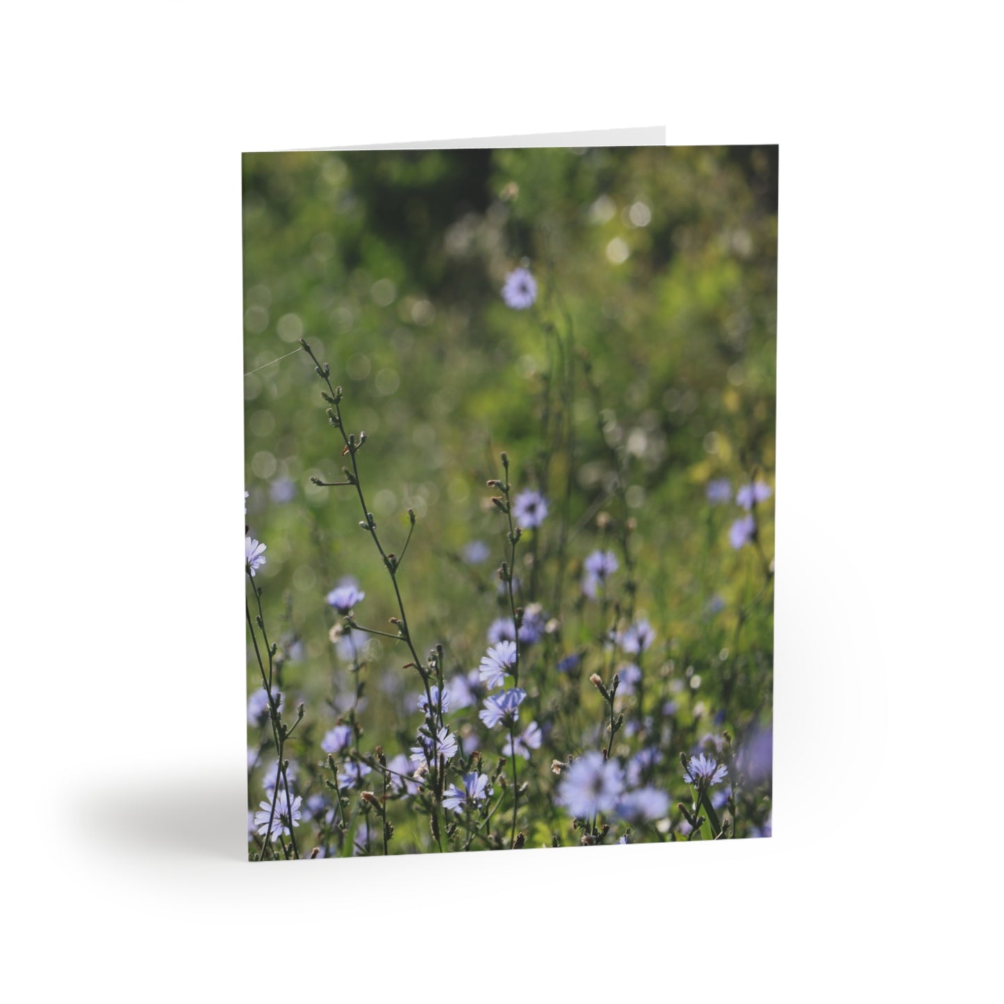 NN Greeting cards 8 pcs Little Purplish Flowers