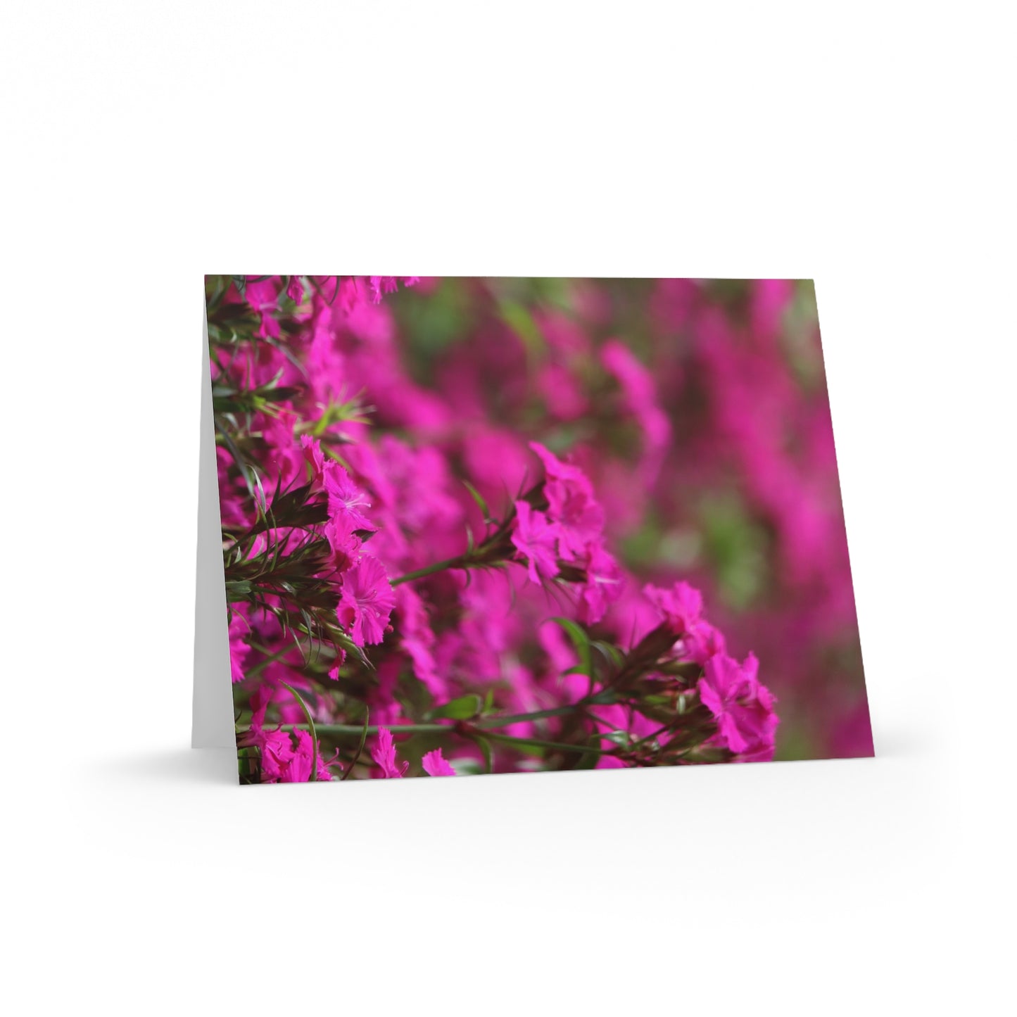 NN Greeting cards 8 pcs Purple Pinkish Flowers