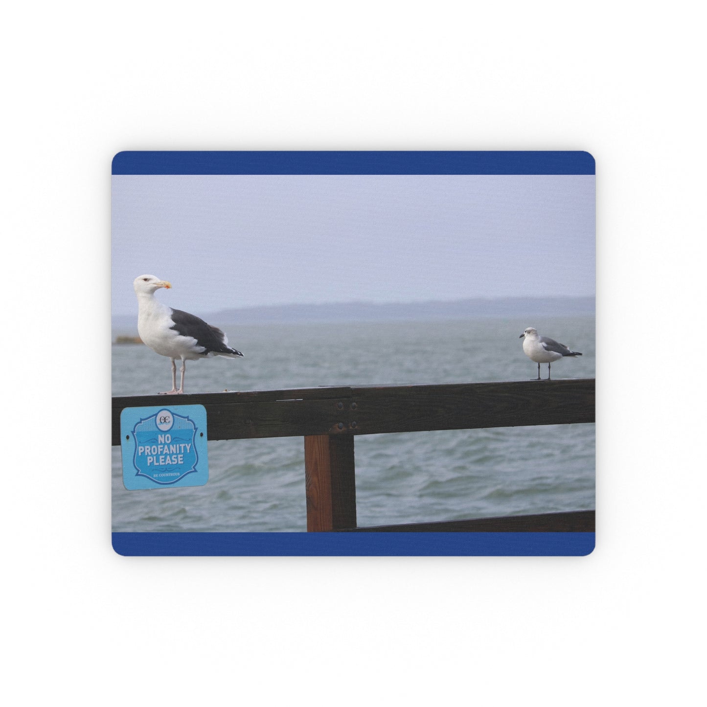 NN Rectangular Mouse Pad Steven Seagull