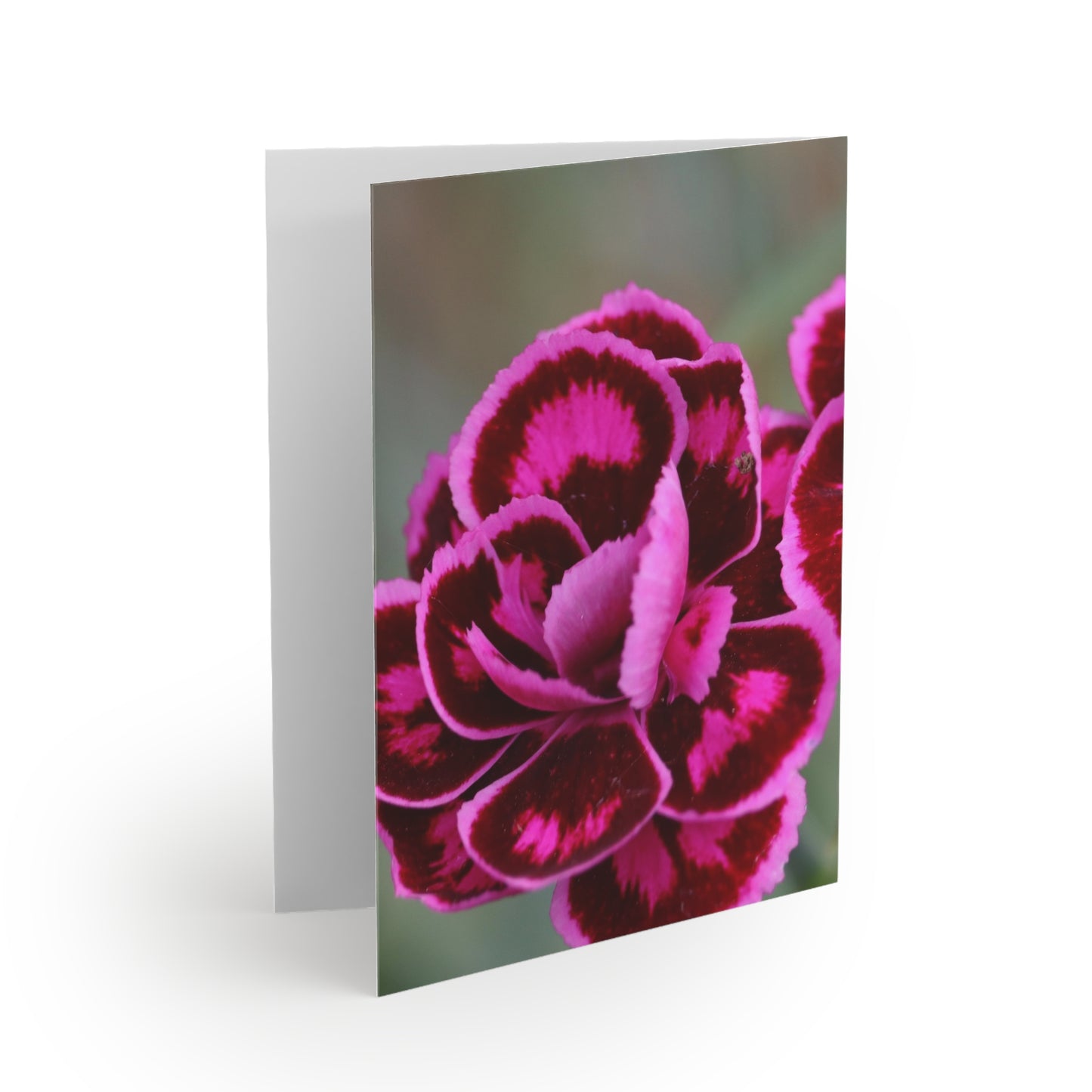 NN Greeting cards 8 pcs 2 Hot Pinks