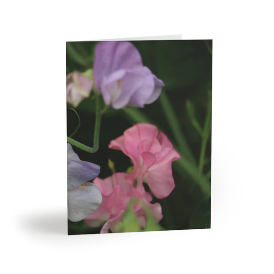 NN Greeting cards 8 pcs Pale Pinks & Lavenders