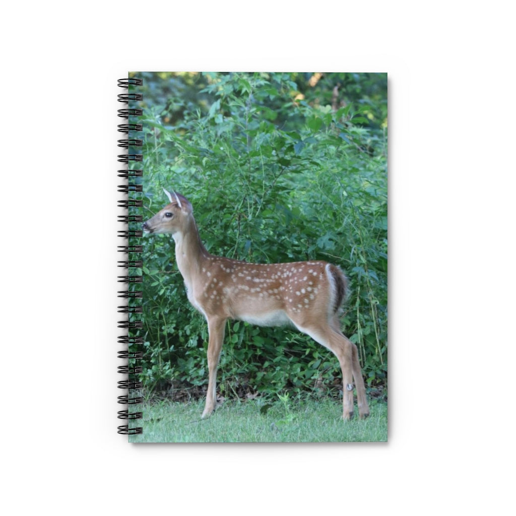 NN Spiral Notebook - Ruled Line One Tall Fawn