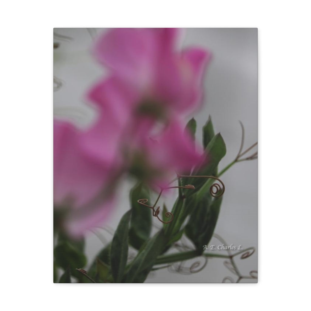 Canvas Gallery Wraps Pink Abstract Flowers