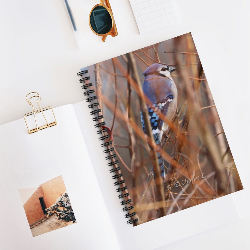 Spiral Notebook - Ruled Line Blue Jay