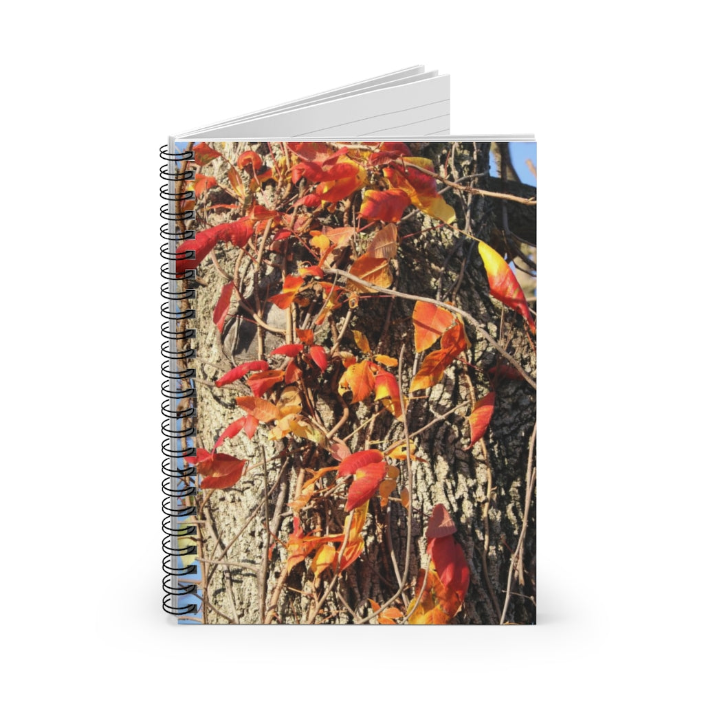 NN Spiral Notebook - Ruled Line Fire Leaves Tree