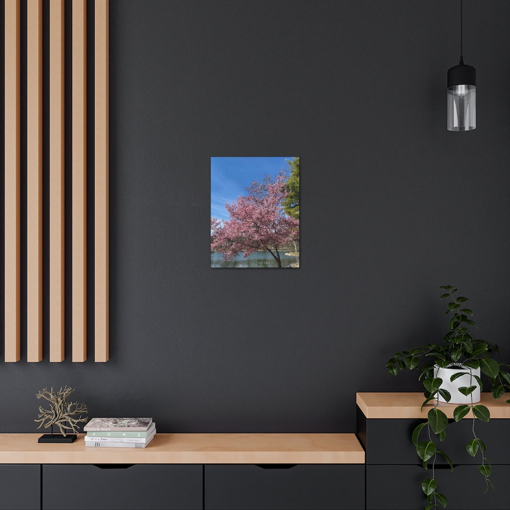 Canvas Gallery Wraps (LP) Pink Tree & Water