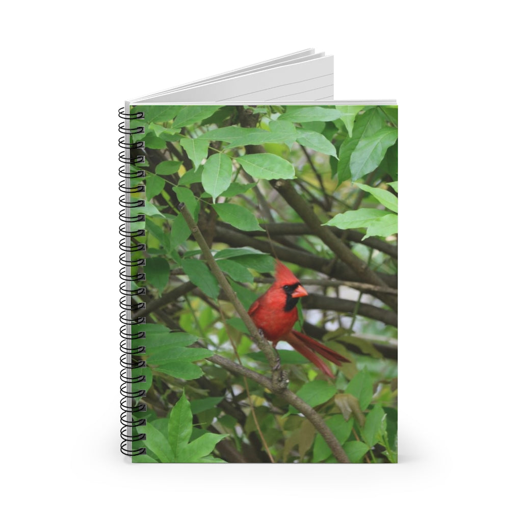 NN Spiral Notebook - Ruled Line Cardinal Fantail (W)