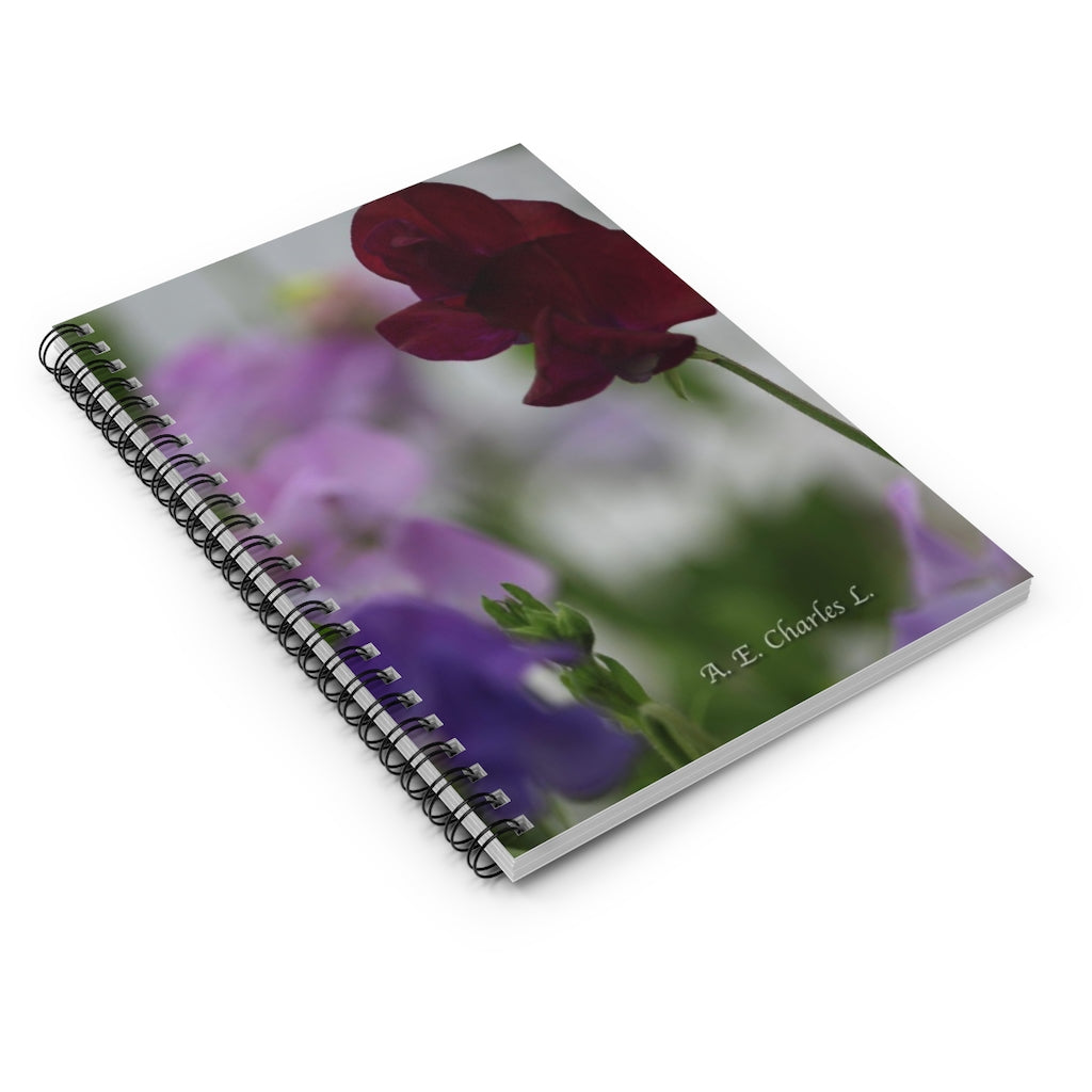 Spiral Notebook - Ruled Line Maroon & Purples