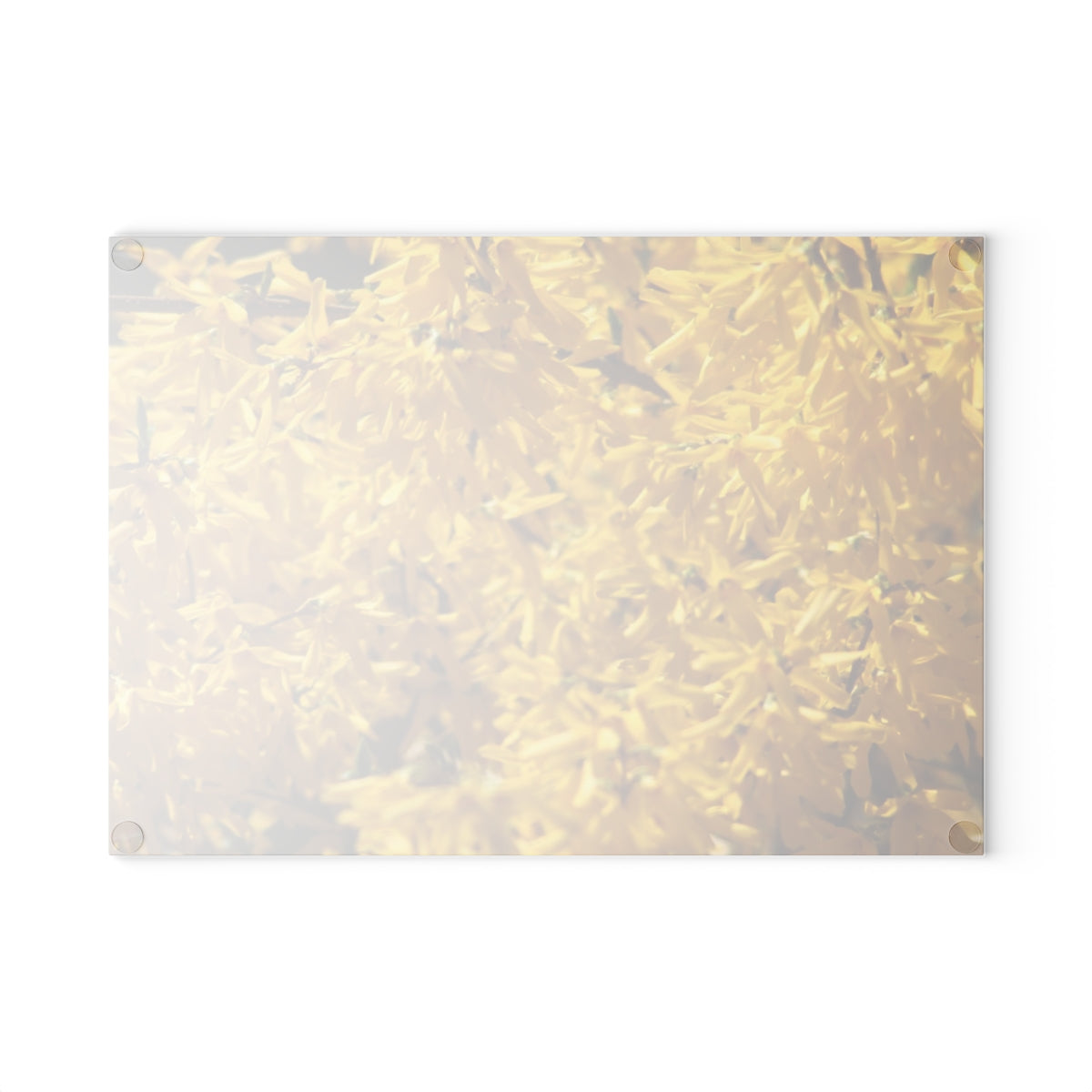 NN Glass Cutting Board Forsythia