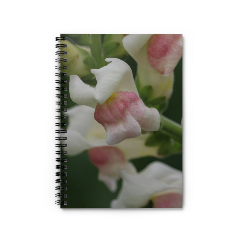 NN Spiral Notebook - Ruled Line White & Pinks