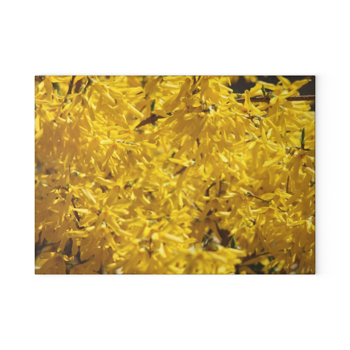 NN Glass Cutting Board Forsythia