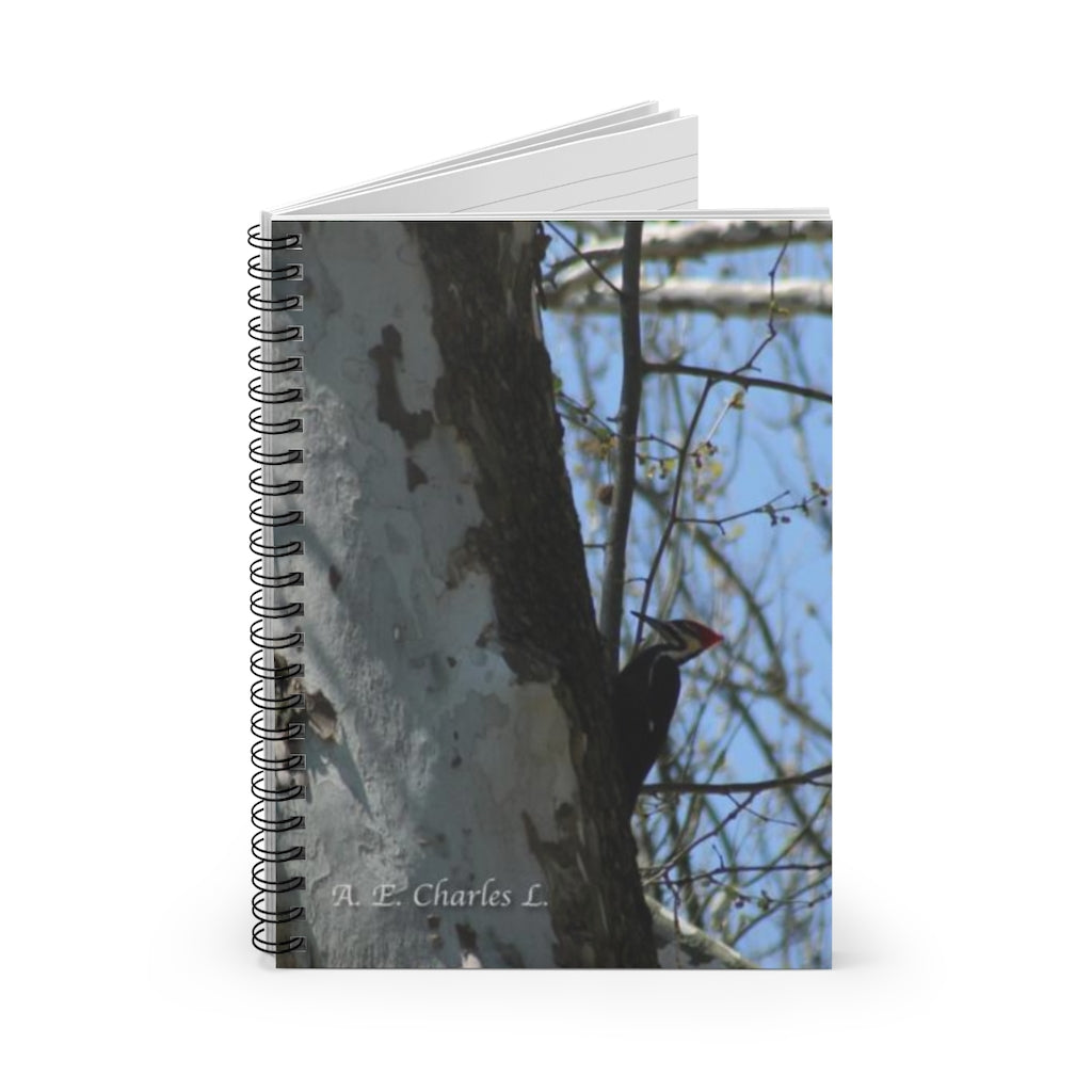 Spiral Notebook - Ruled Line May Be Pileated Woodpecker