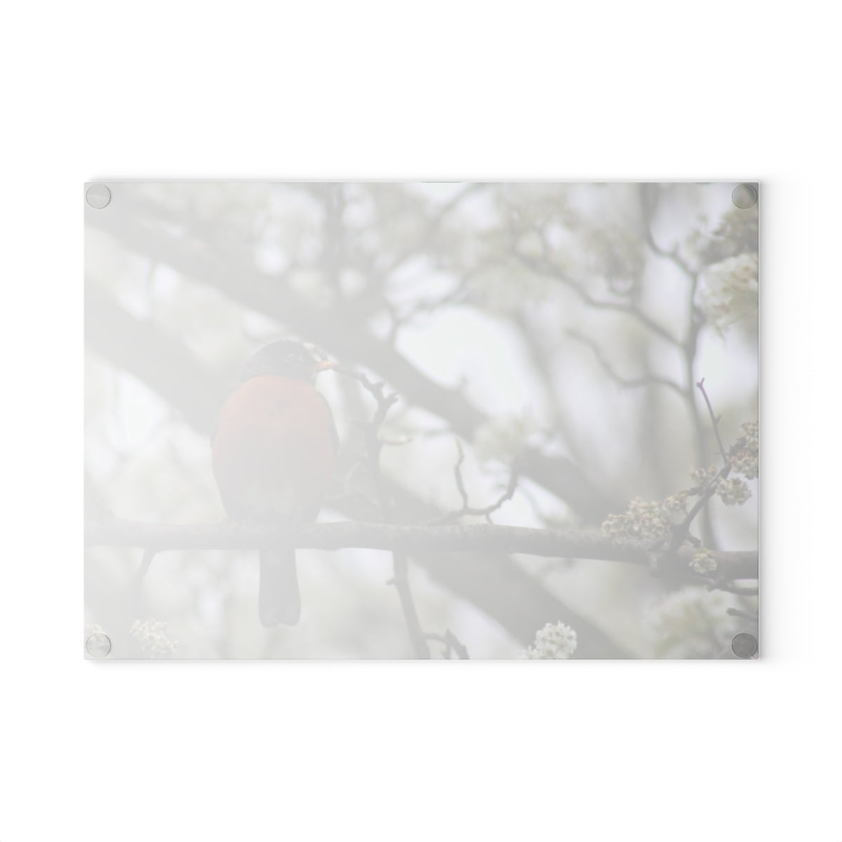 NN Glass Cutting Board Robin (IOT)