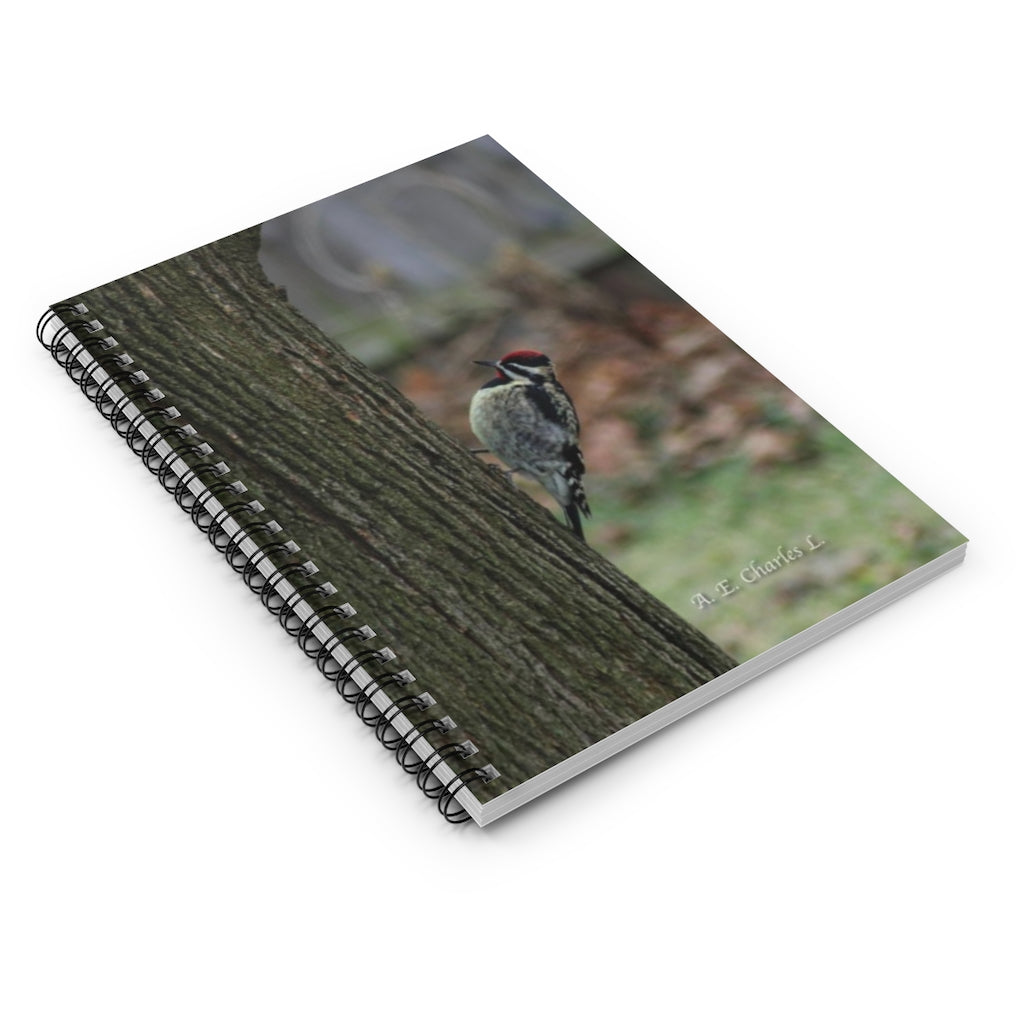 Spiral Notebook - Ruled Line May Be Yellow-Bellied Sapsucker