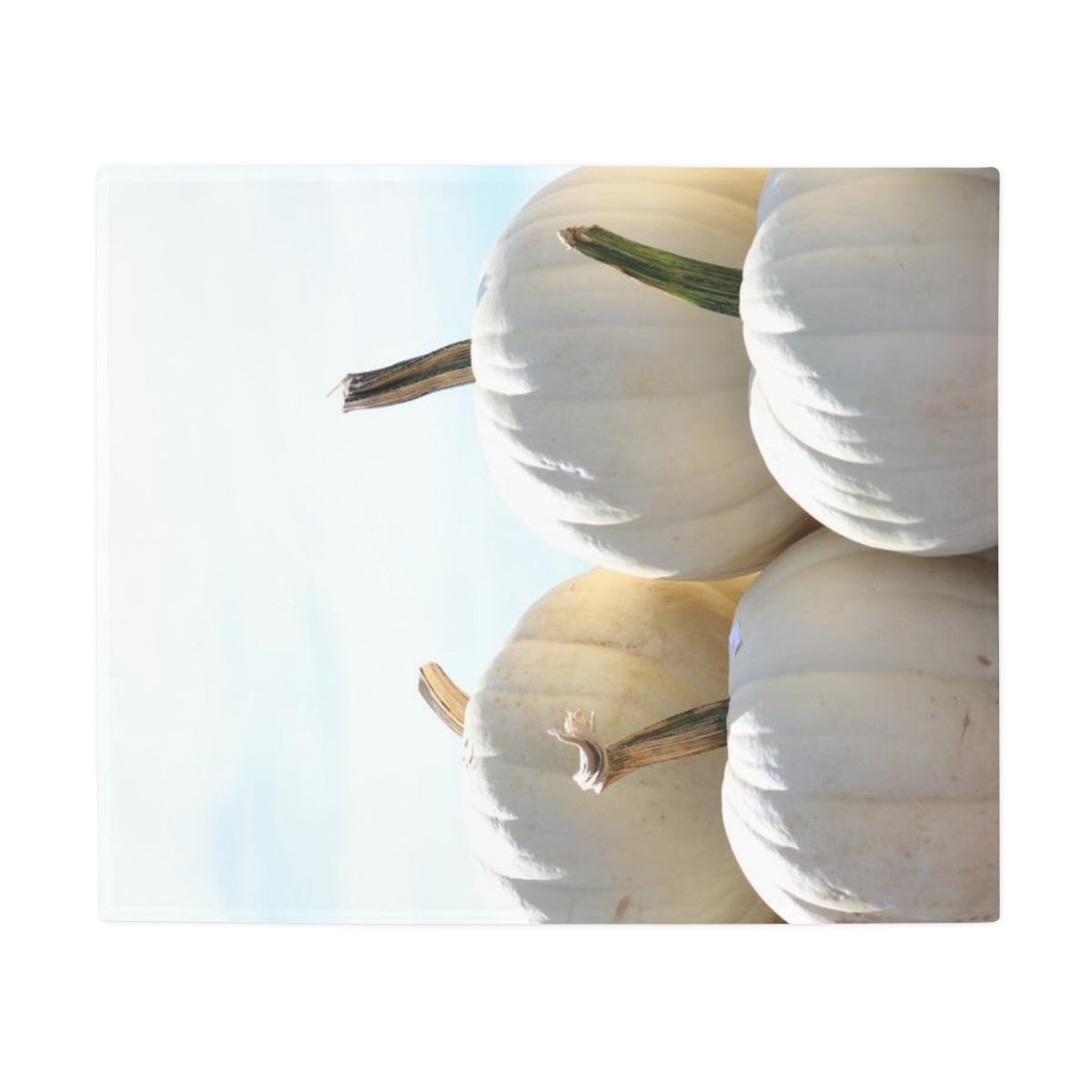 NN Plush Fleece Blanket White Pumpkins