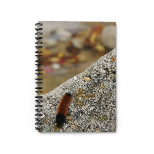 NN Spiral Notebook - Ruled Line Caterpillar On A Rock