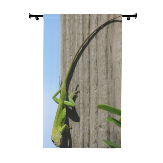 NN Window Curtains (1 Piece) NC Lizard