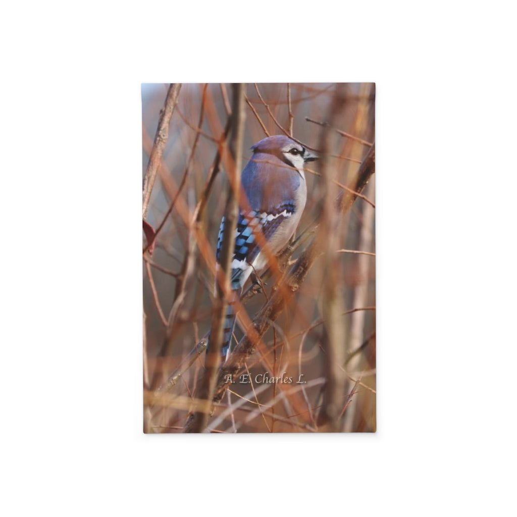 Garden Banner Blue Jay