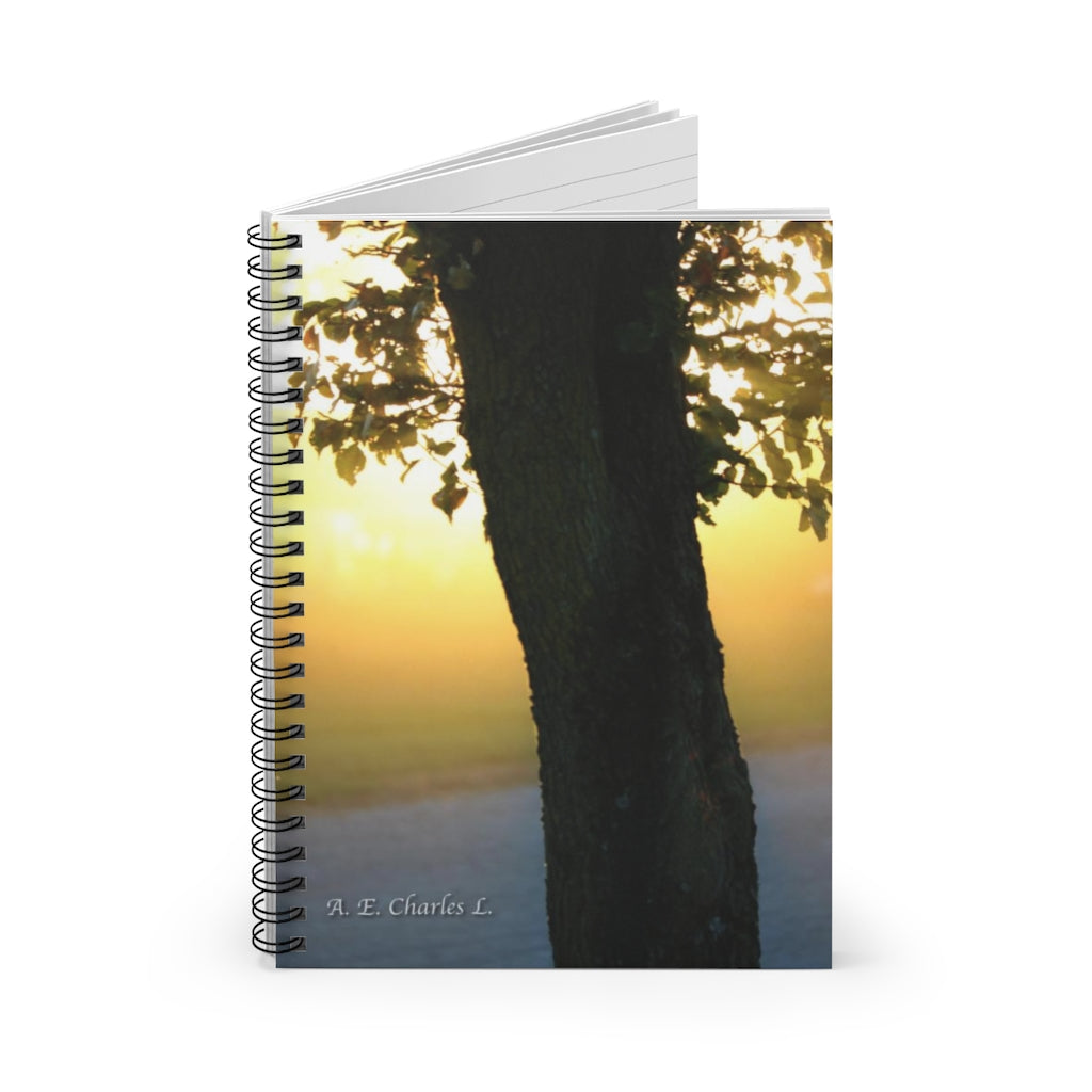 Spiral Notebook - Ruled Line Tree In Front Of Sunlight