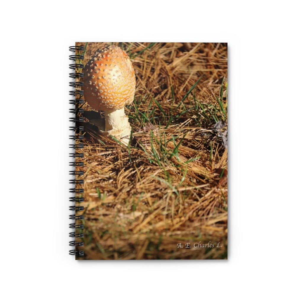 Spiral Notebook - Ruled Line High Mushroom