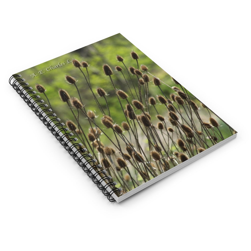 Spiral Notebook - Ruled Line Little Browns