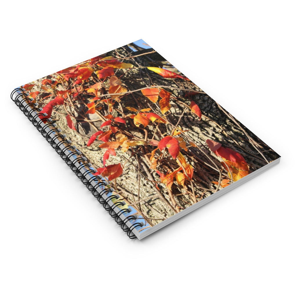 NN Spiral Notebook - Ruled Line Fire Leaves Tree