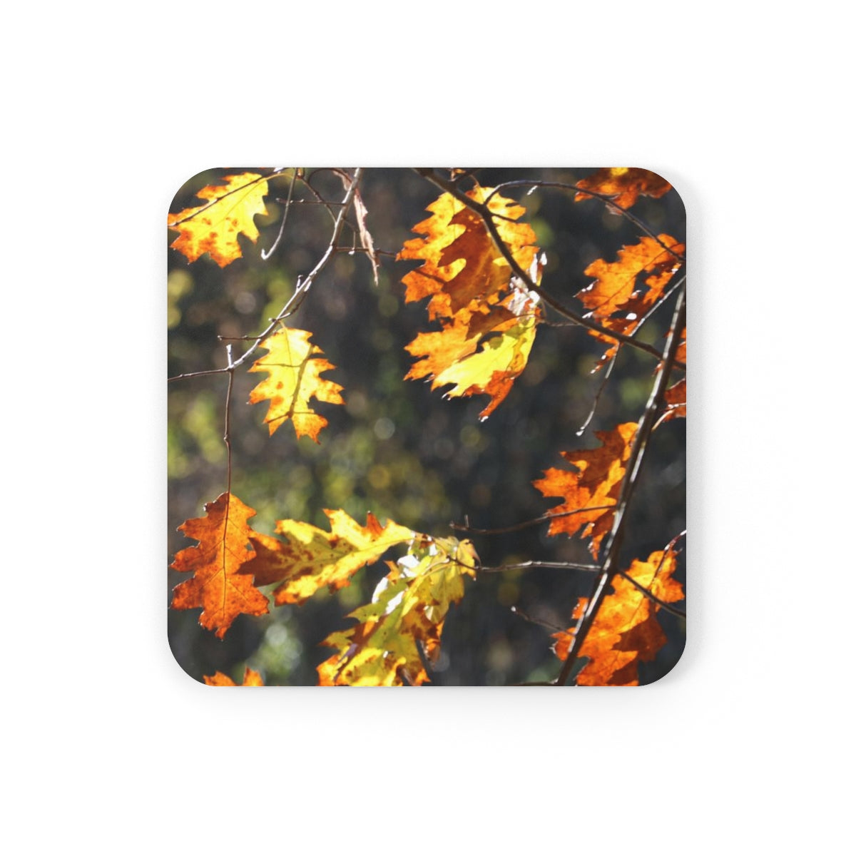 NN Cork Back Coaster Yellow Orange Brown Leaves