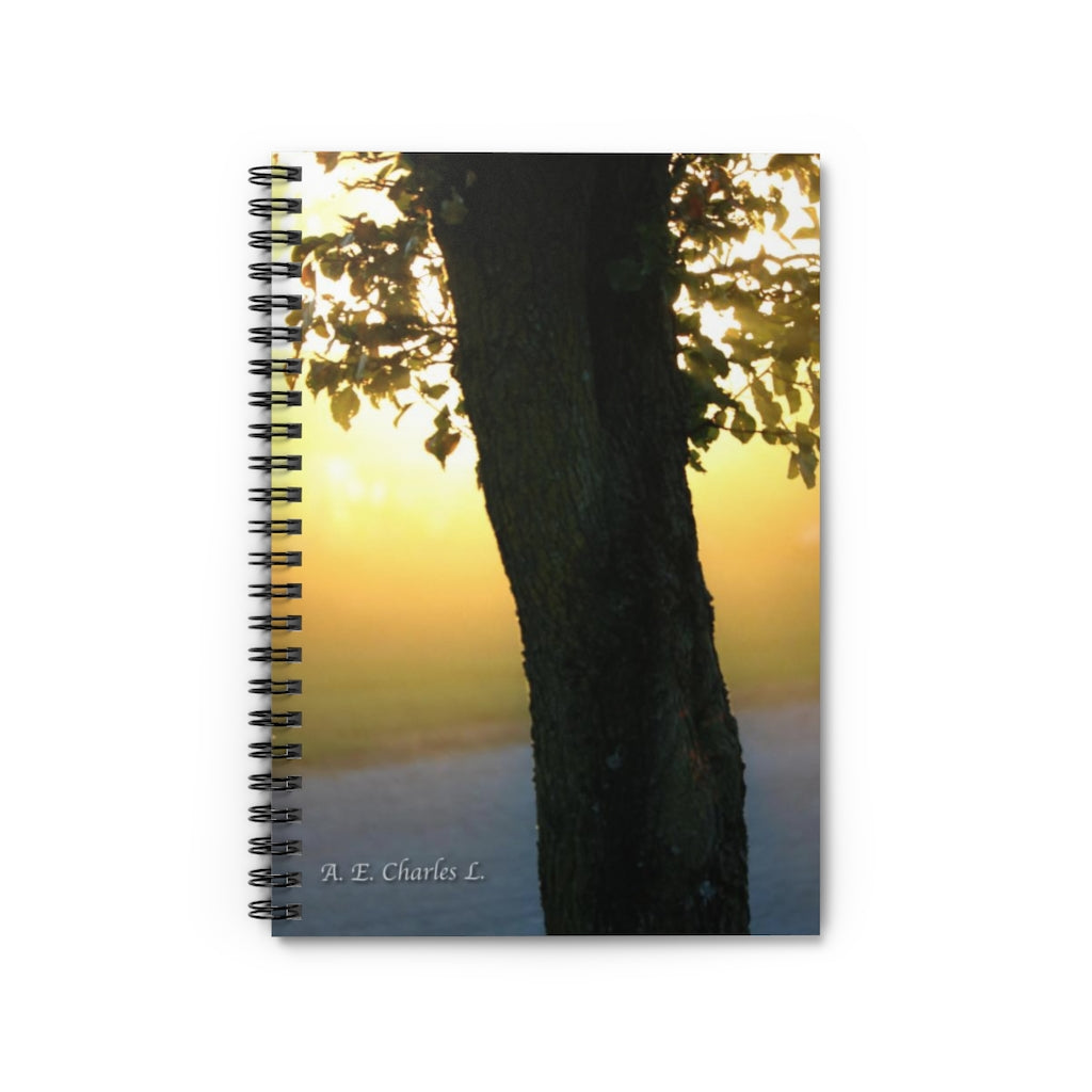 Spiral Notebook - Ruled Line Tree In Front Of Sunlight