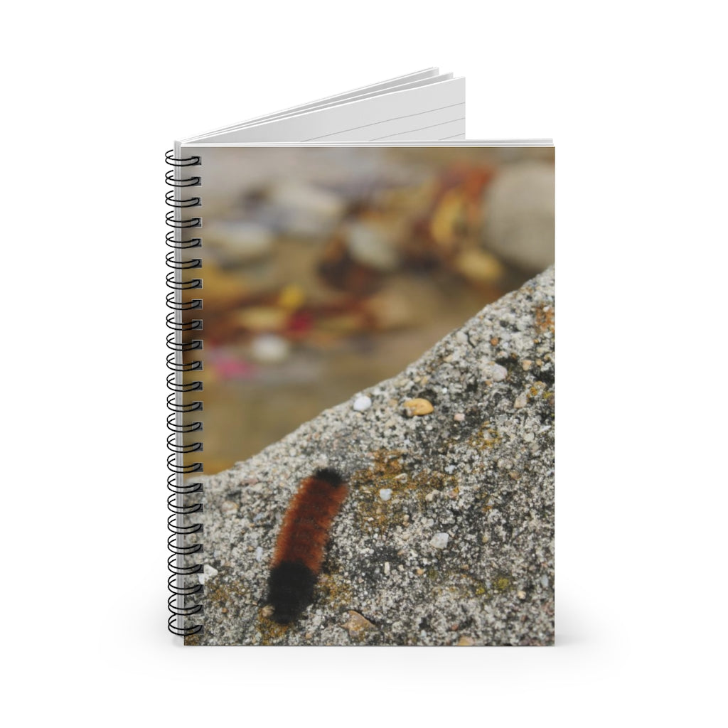 NN Spiral Notebook - Ruled Line Caterpillar On A Rock