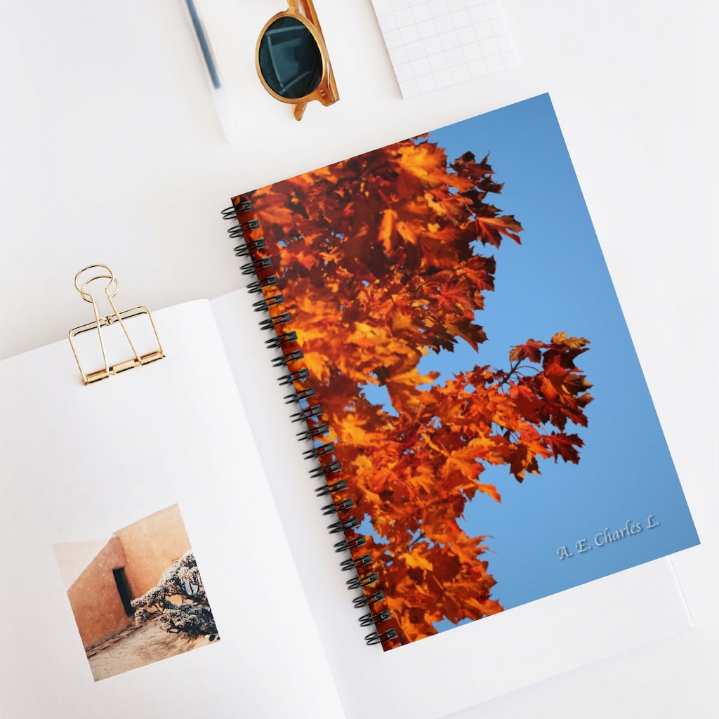 Spiral Notebook - Ruled Line Left Orange Leaves