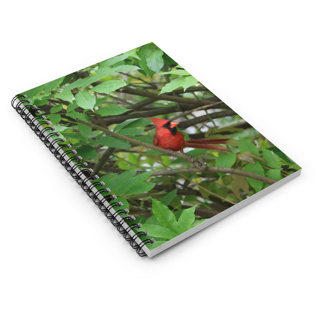 NN Spiral Notebook - Ruled Line Cardinal Fantail (W)