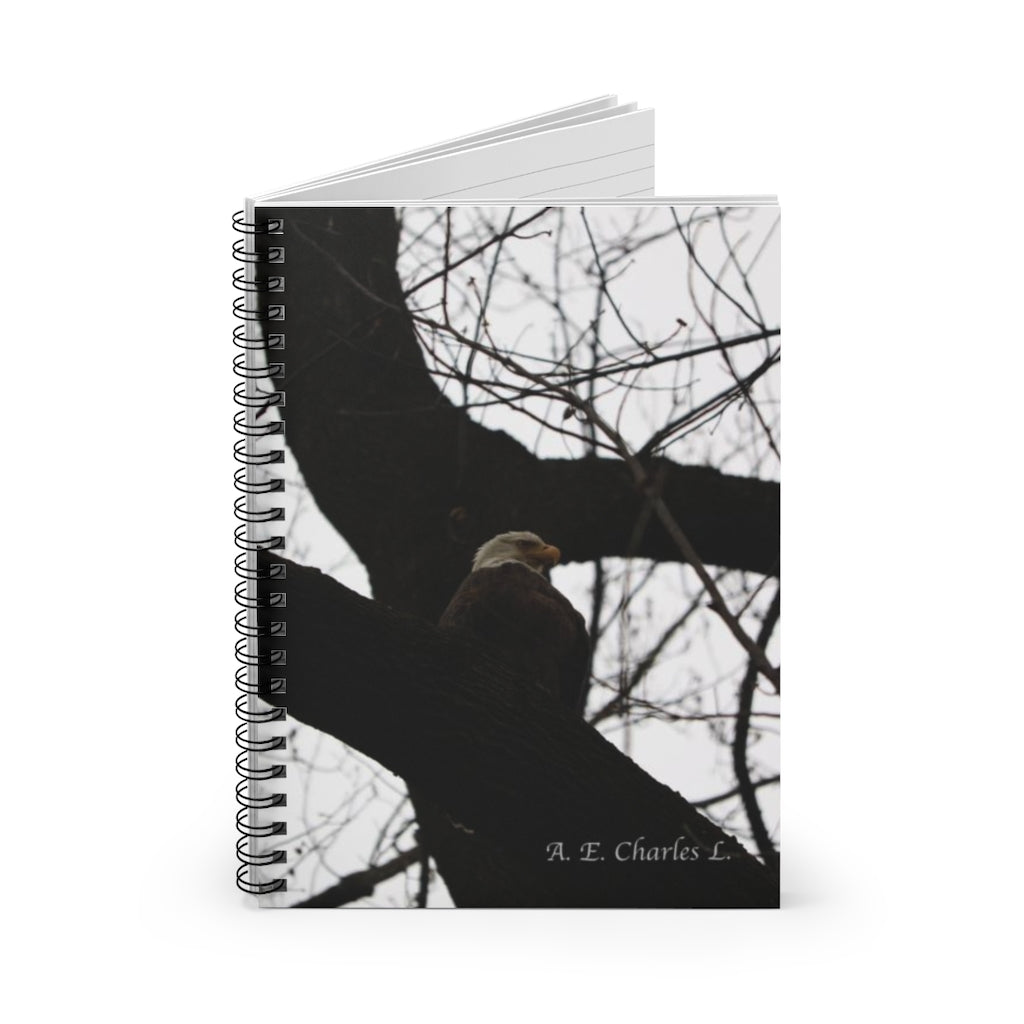 Spiral Notebook - Ruled Line Bald Eagle (CD)